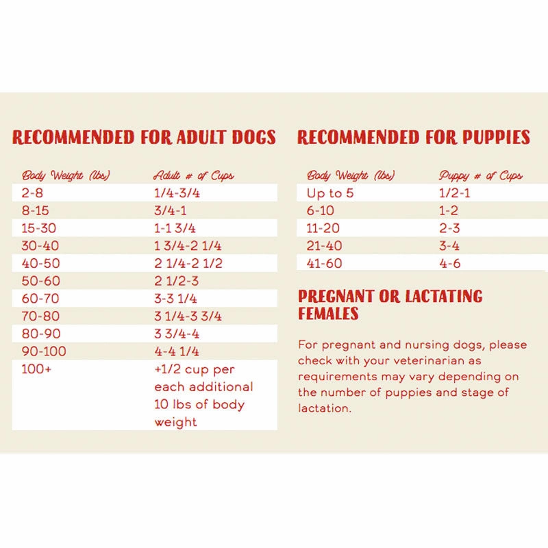STELLA & CHEWY'S Raw Coated Kibble Chicken Recipe with Grain for Dogs