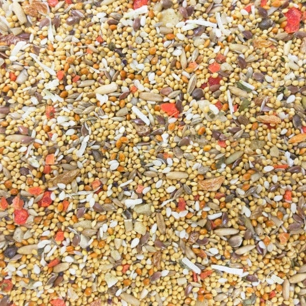Sunburst Fruits & Veggies (Small) Gourmet Natural Bird Treats