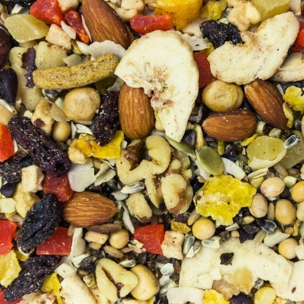 Sunburst Fruits to Nuts Gourmet Natural Bird Treats