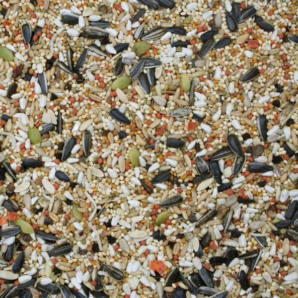 Sunburst Gourmet Blend Cockatiel Food