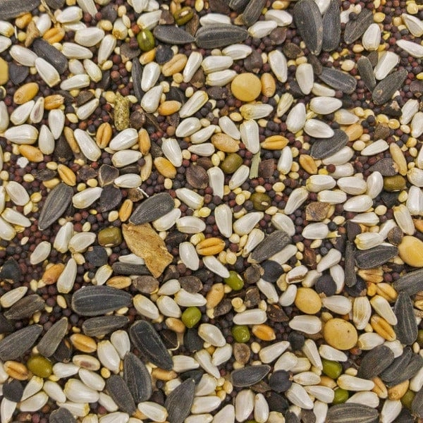 Sunburst Soak n' Sprout Gourmet Natural Bird Treats
