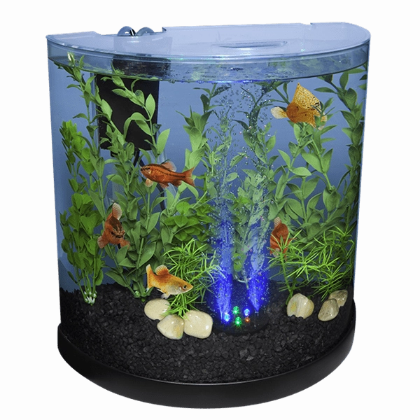 Tetra Bubbling LED Kit - 3 Gallons Half Moon Aquarium