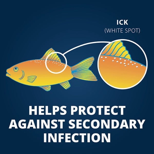 Tetra Ick Guard Treatment Tablets