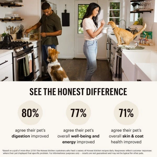 The Honest Kitchen Cate Grain Free Turkey Pate Wet Cat Food (SPECIAL ORDER ITEM)