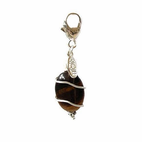 Tiger Eye Healing Dog Collar Charm Oval Pawmulet