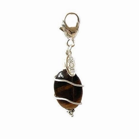Tiger Eye Healing Dog Collar Charm Oval Pawmulet