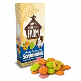Tiny Friends Farm; Gerty Guinea Pig Scrummies Treat