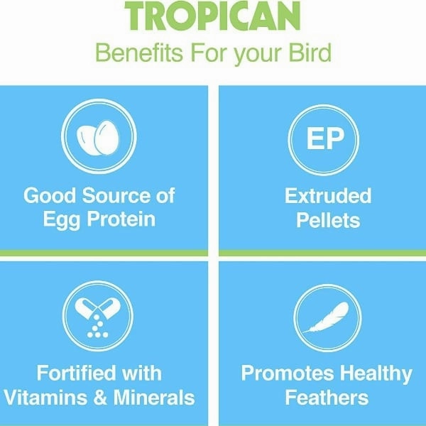 Tropican Egg Granules for Small Birds
