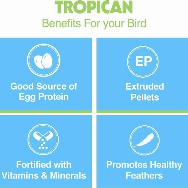 Tropican Egg Granules for Small Birds