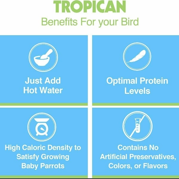 Tropican Hand-Feeding Formula for Parrots