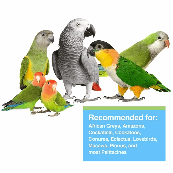 Tropican Hand-Feeding Formula for Parrots