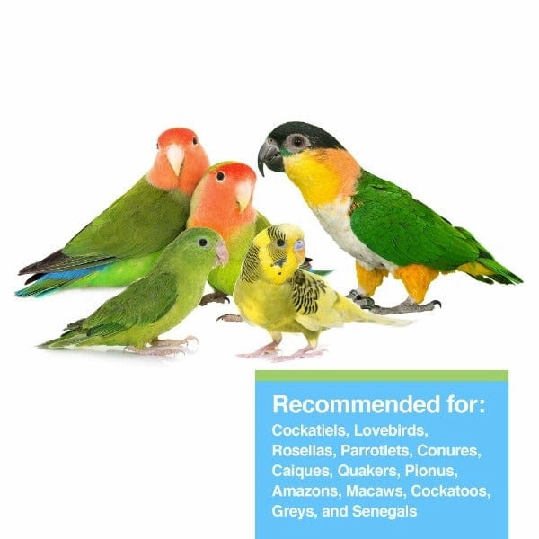 Tropican Lifetime Formula Sticks for Parrots, 20lb*