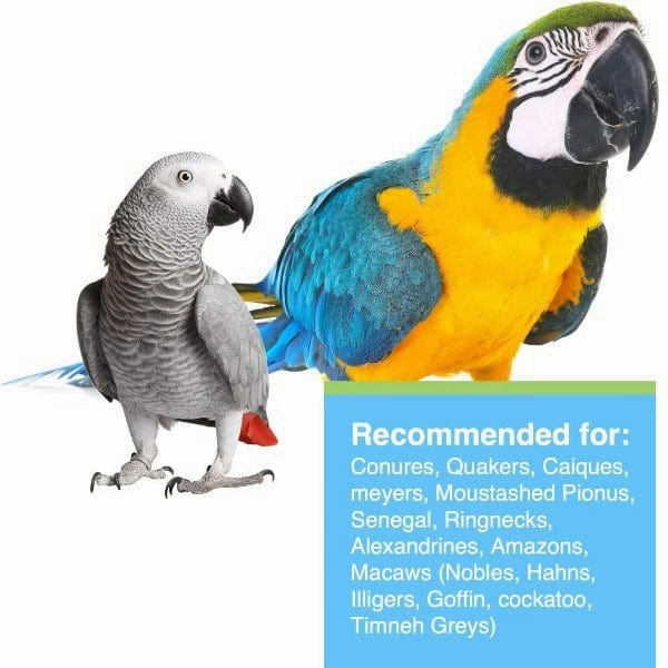 Tropimix Enrichment Formula for Large Parrots