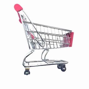 Tweeters Shopping Cart Bird Toy