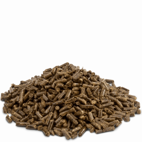 Versele-Laga Crispy Pellets for Chinchilla & Degu