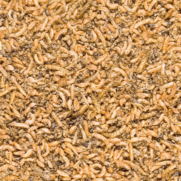 Versele-Laga Menu Nature Insect Mix