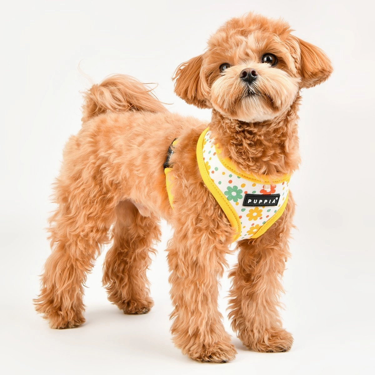 Vinca Dog Harness A Yellow Medium