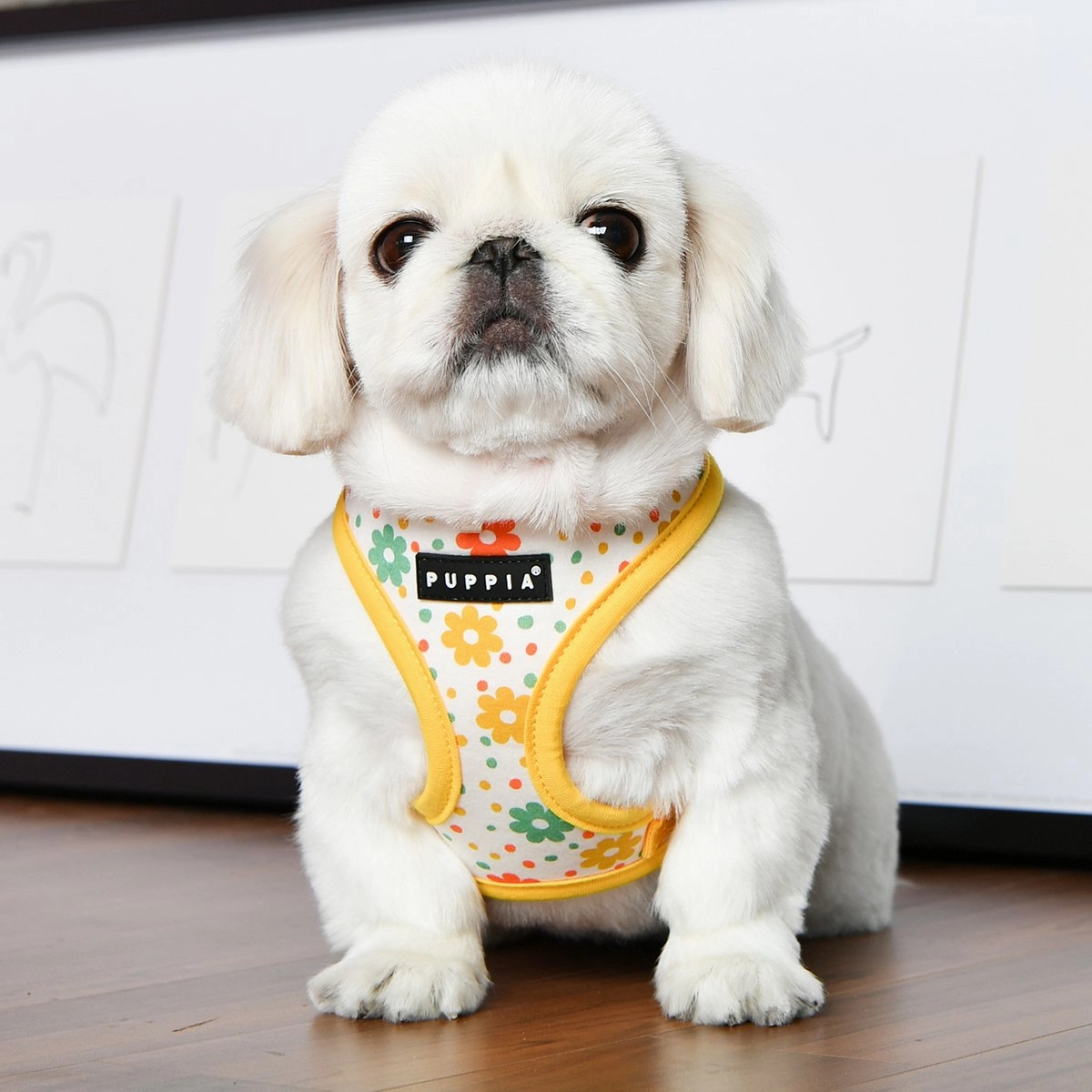 Vinca Dog Harness A Yellow Medium