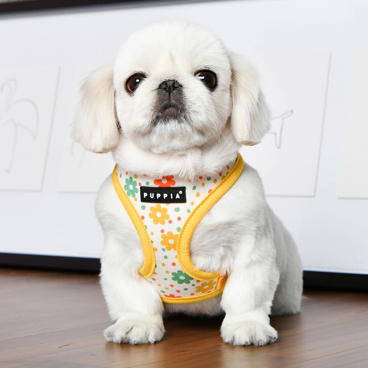 Vinca Dog Harness A Yellow Medium