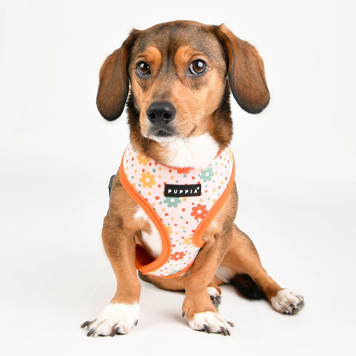 Vinca Dog Harness A Yellow Medium