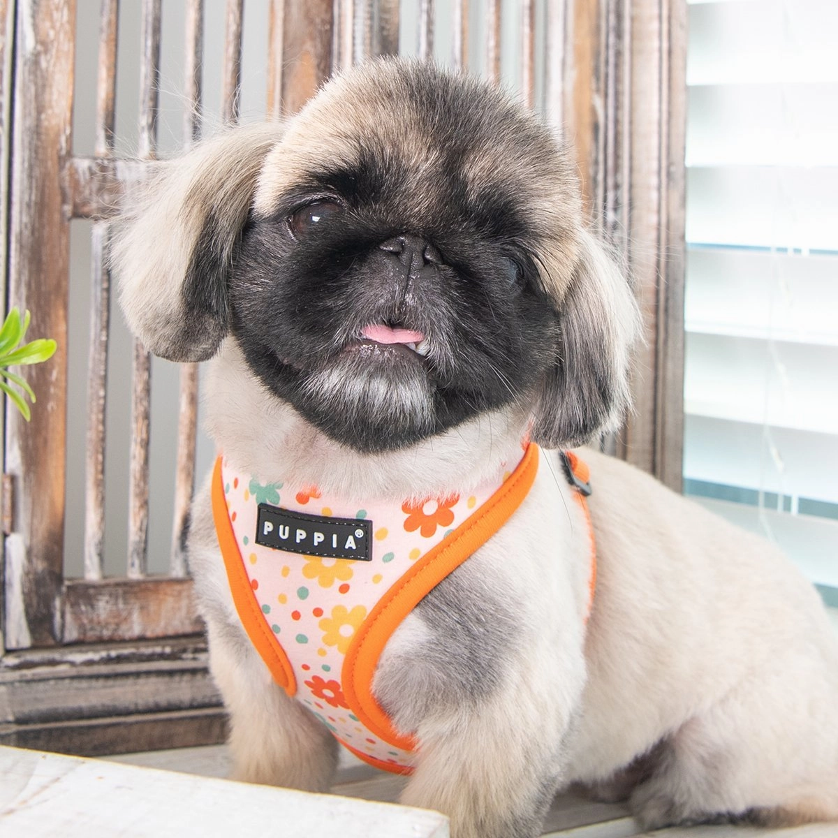 Vinca Dog Harness A Yellow Medium