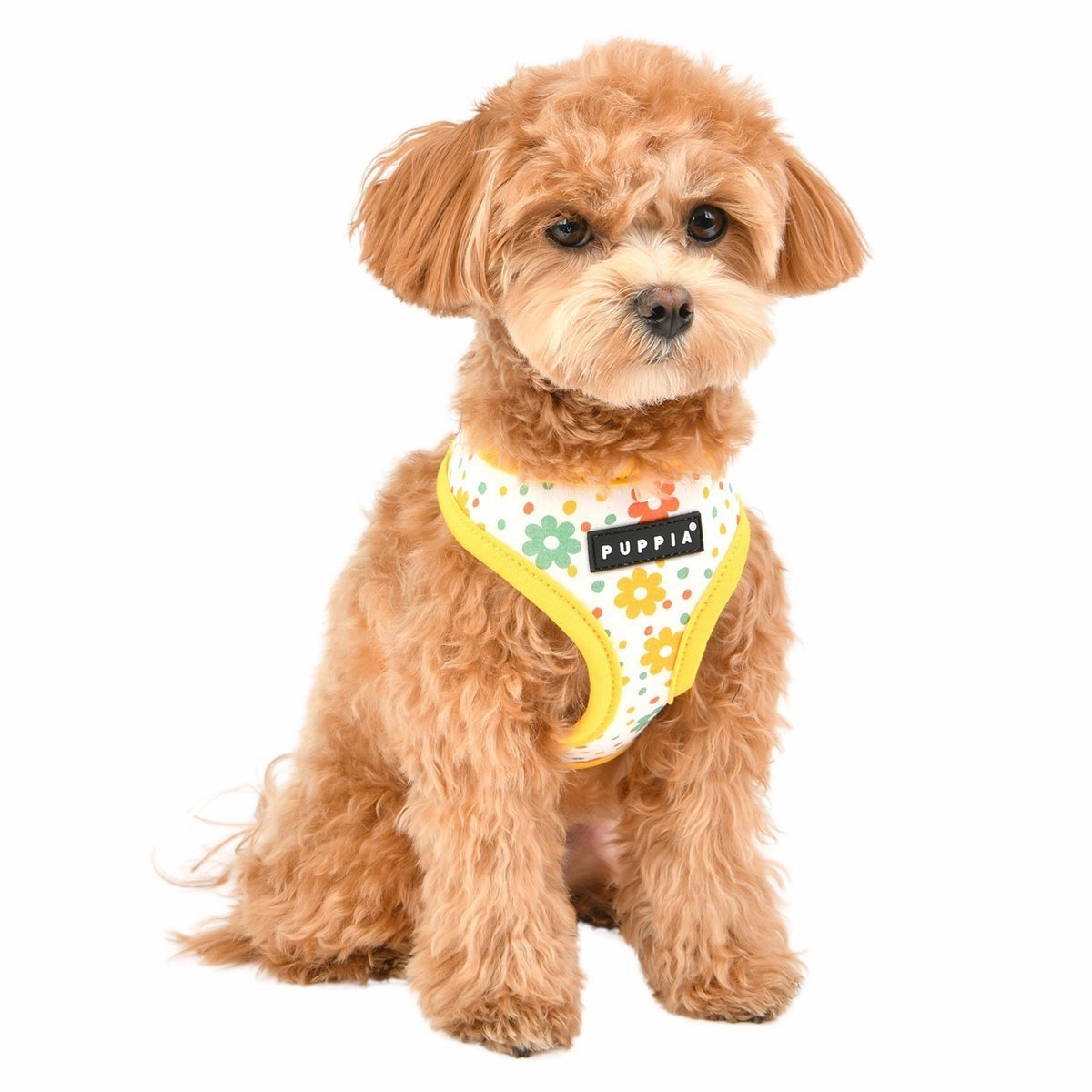 Vinca Dog Harness A Yellow Medium