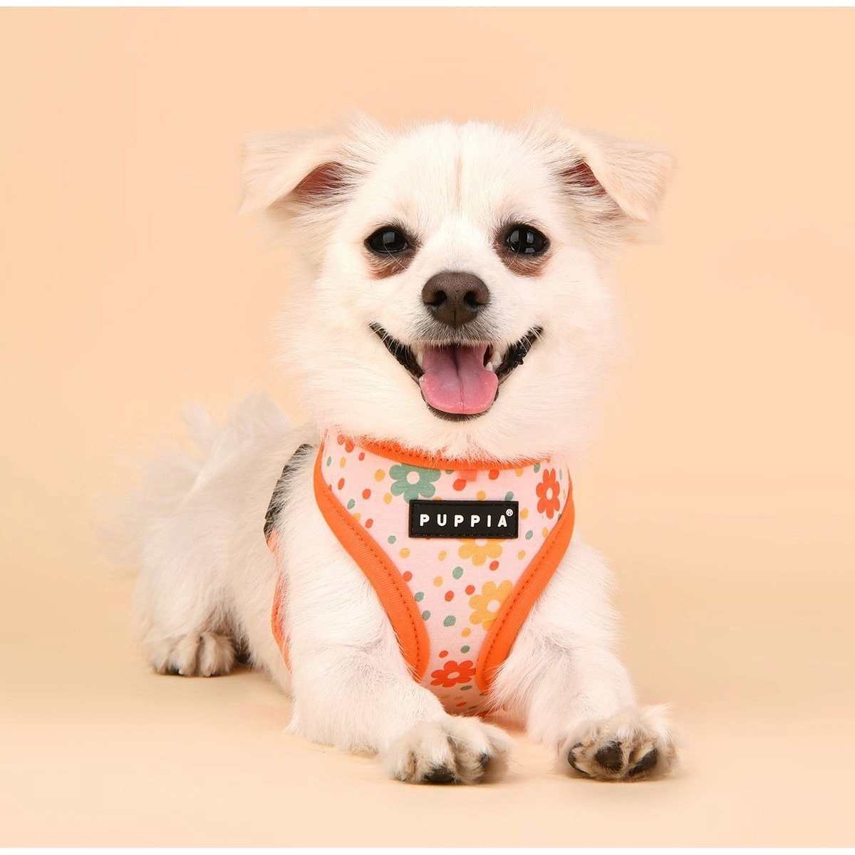 Vinca Dog Harness A Yellow Medium