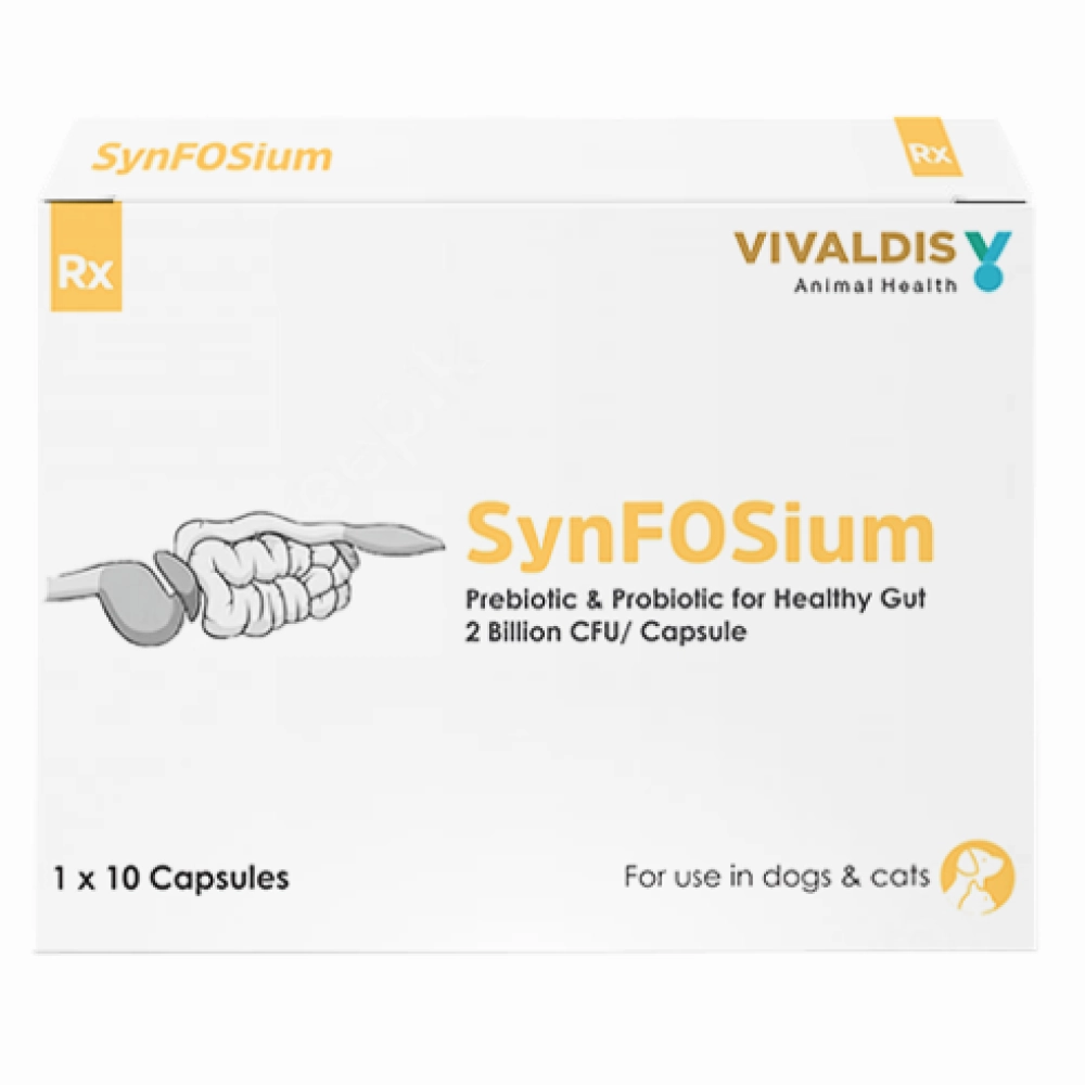 Vivaldis Synfosium Pre Probiotic Capsule for Dogs & Cats