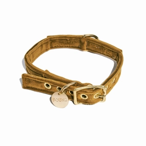 Washable Velvet Dog Collar Ochre