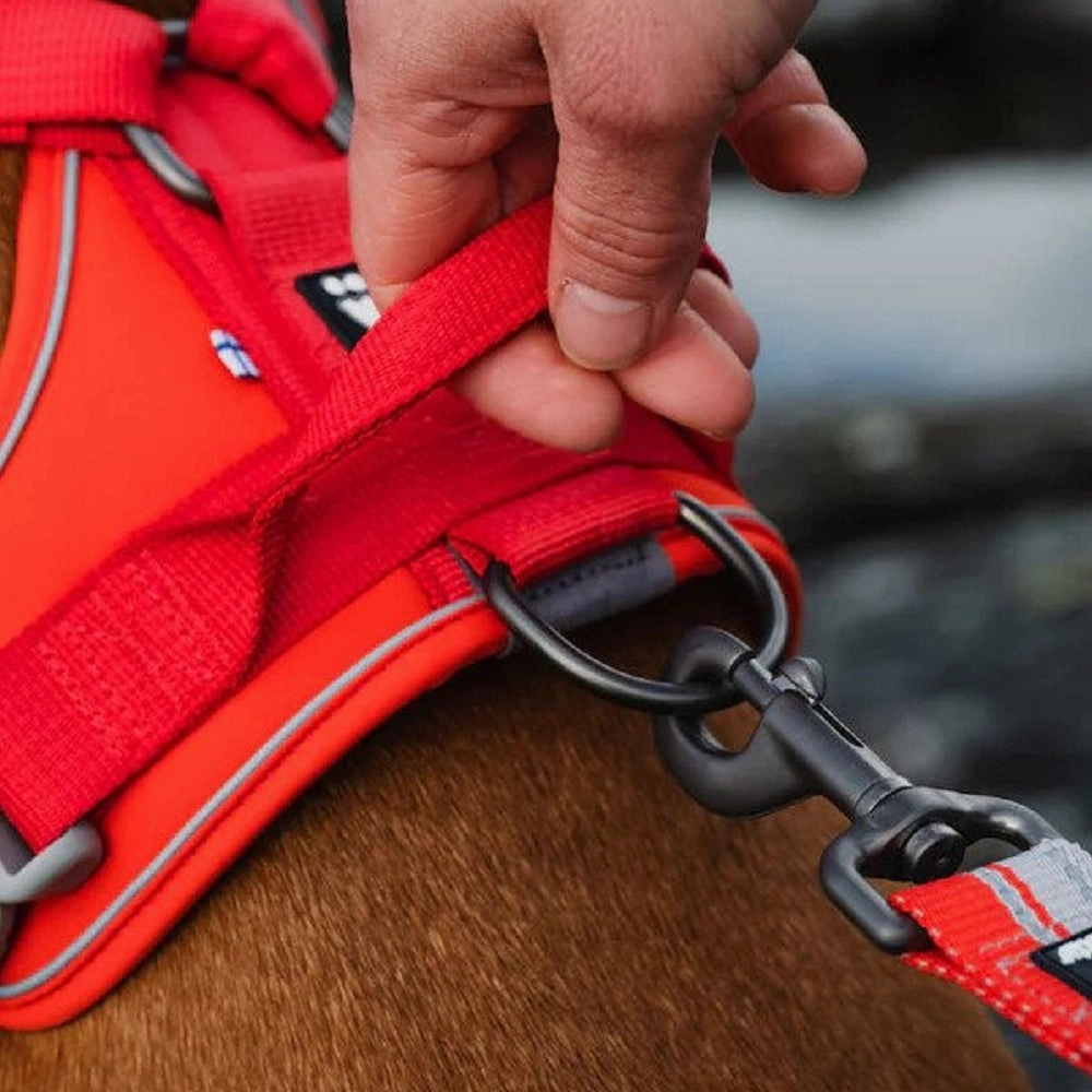 Weekend Warrior Dog ECO Harness