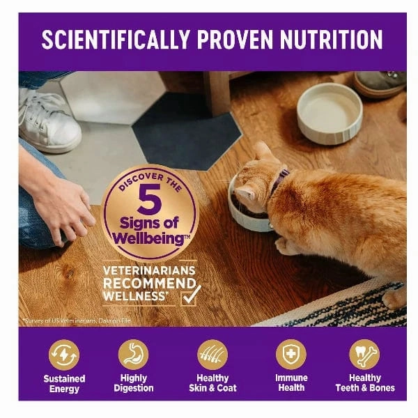 Wellness Complete Health Grain Free Indoor Healthy Weight Dry Cat Food