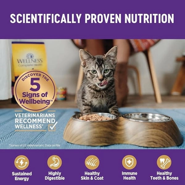 Wellness Complete Health Morsels Tuna Entree in Gravy Canned Cat Food, 3oz