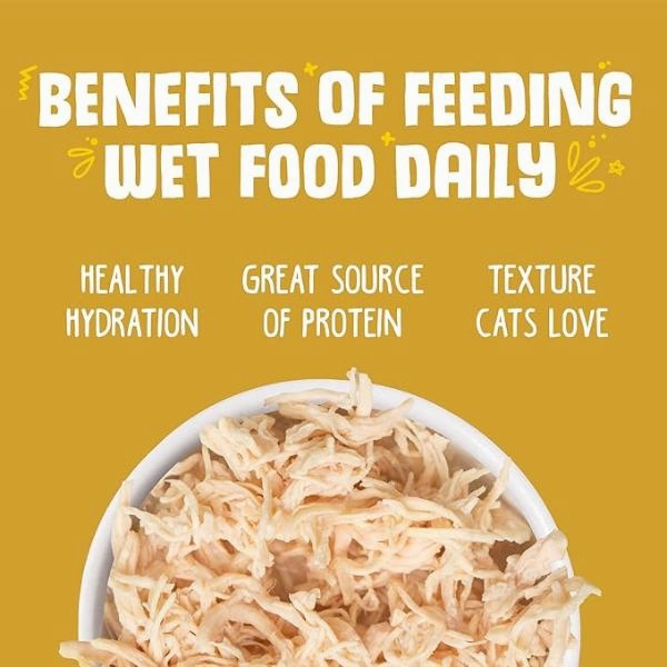 Weruva Paw Lickin' Chicken Recipe in Gravy Canned Cat Food, 3oz