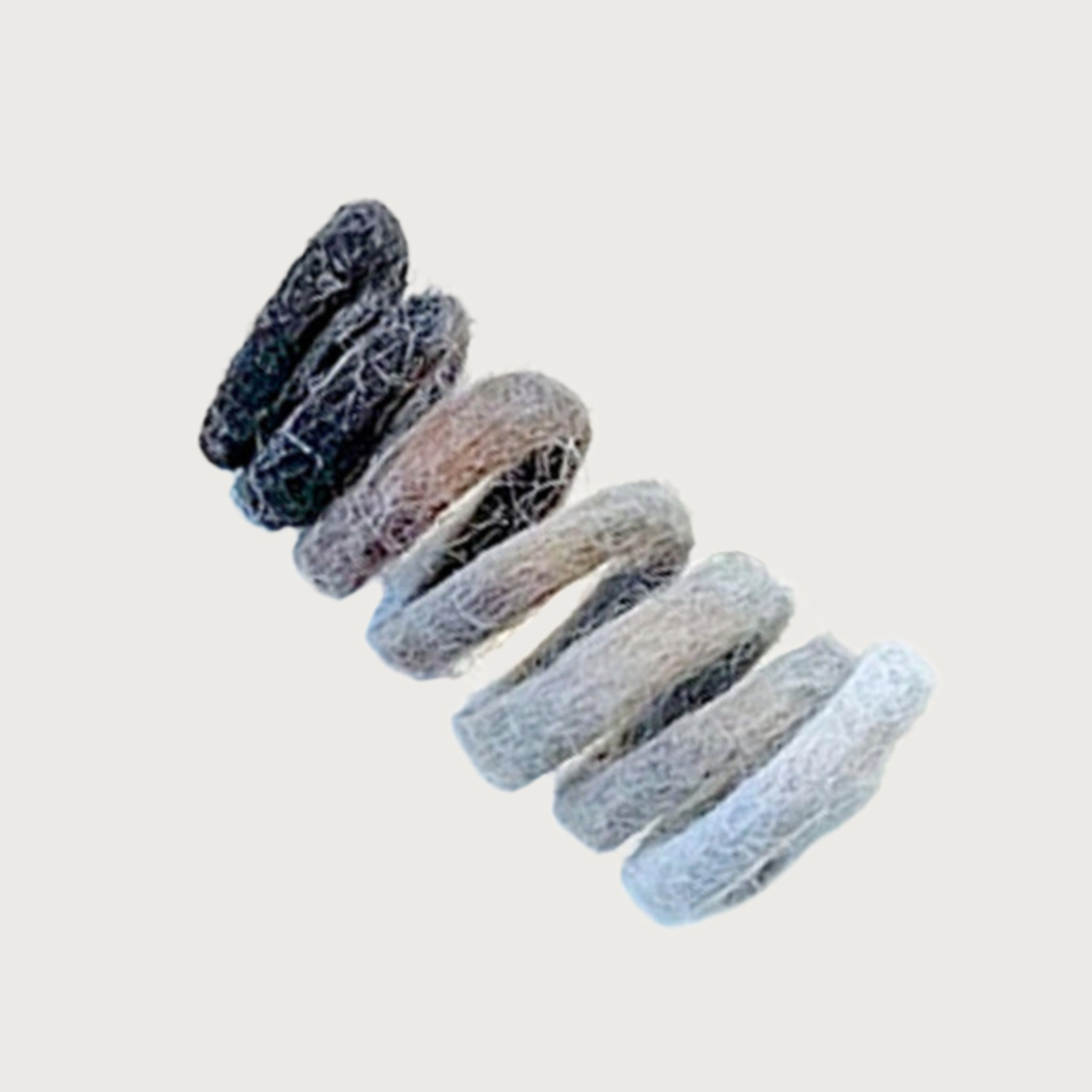 WET NOSE Spring Cat Toy