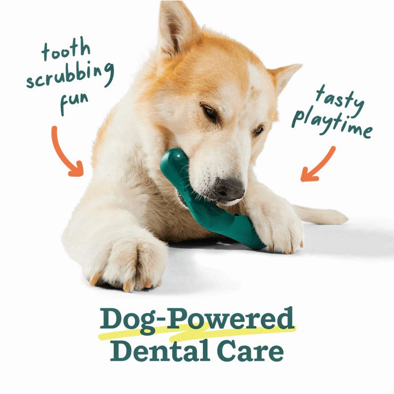 WOOF Bite n' Brush Dog Toy