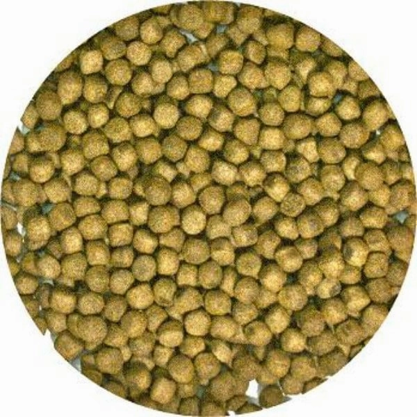 Zoo Med Natural Aquatic Turtle Food; Maintenance Formula