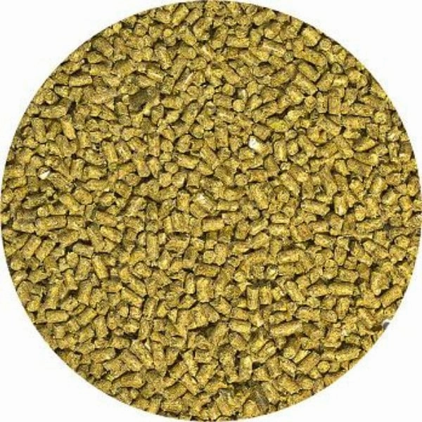Zoo Med Natural Bearded Dragon Food; Adult Formula