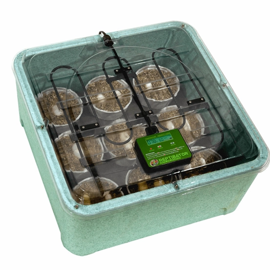 Zoo Med Reptibator Egg Incubator