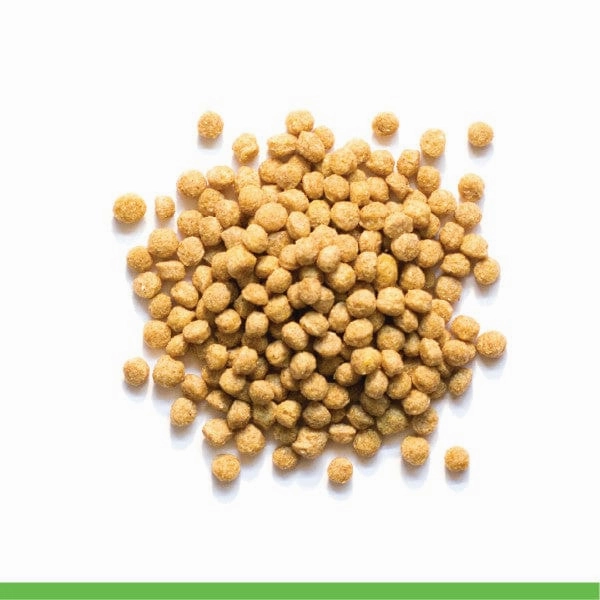 ZuPreem Natural Bird Food, Medium
