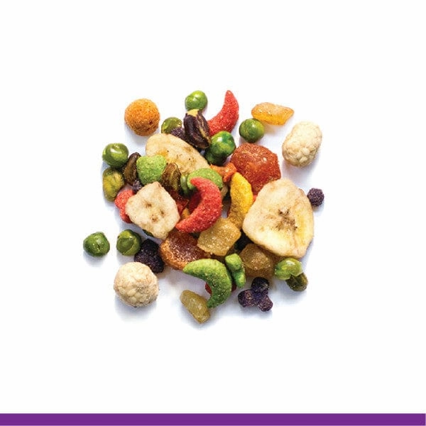 ZuPreem Pure Fun Bird Food, Large