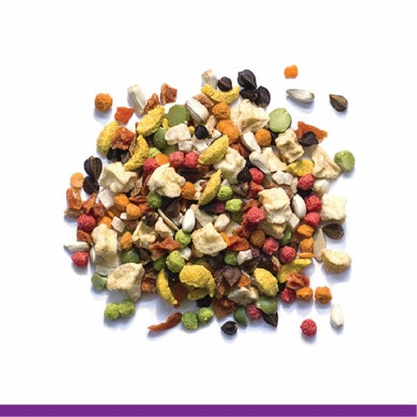 ZuPreem Pure Fun Bird Food, Medium