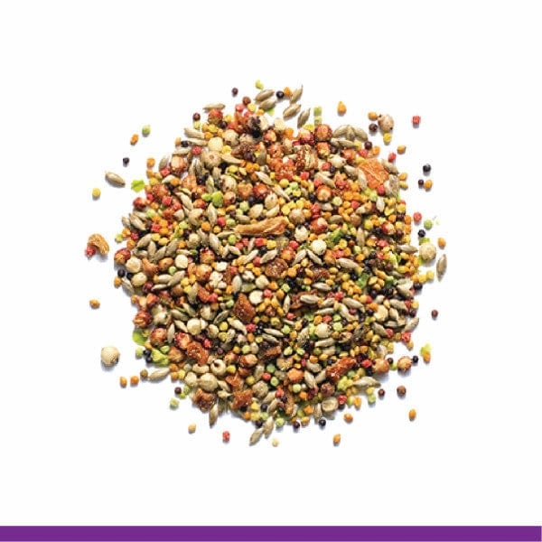 ZuPreem Pure Fun Bird Food, Small