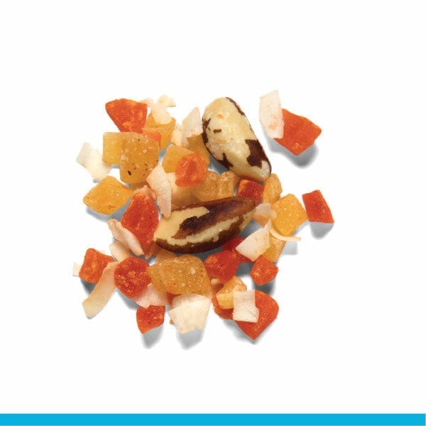 ZuPreem Real Rewards Tropical Mix Bird Treats, Large