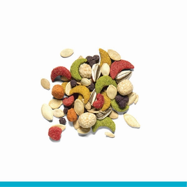 ZuPreem Sensible Seed Bird Food, Large