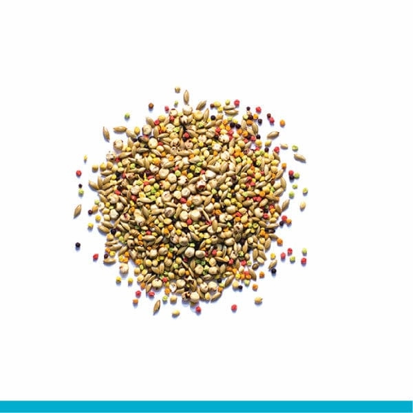 ZuPreem Sensible Seed Bird Food, Small